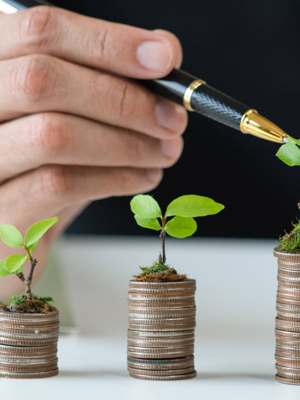 L'administració pública com a client: licitacions i contractes menors