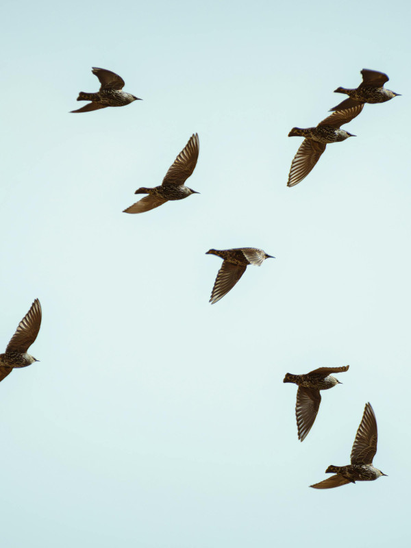 Formació: Emprenedoria col·lectiva per a persones a l'atur