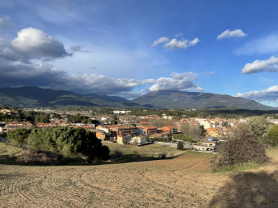 Sant antoni vilamajor